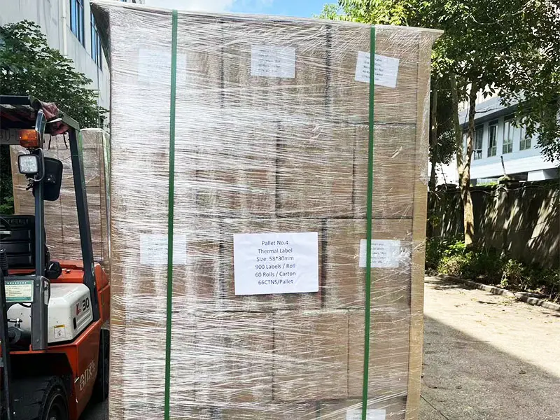 Container Loading & Shipping