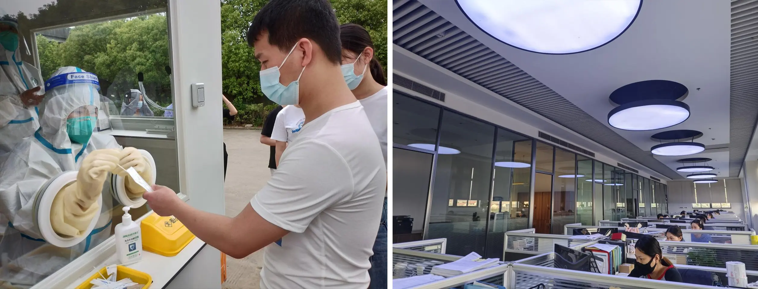 pecialized, Refined, Distinctive, and Innovative 1s